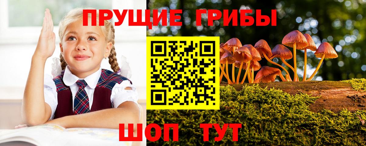 Камень-на-Оби  Галлюциногенные грибы прущие грибы  Вход с VPN 